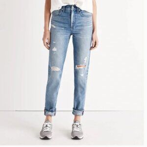 Madewell The Perfect Vintage Jean (1510)
